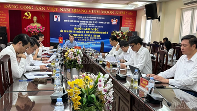 Sjednocení mnoha důležitých obsahů pro přípravu 25. mezinárodního veletrhu Vietnam-Čína (Lao Cai)