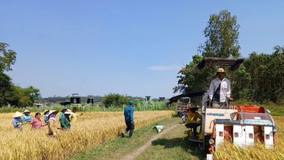 La transformación digital de la agricultura, una "prueba" de la capacidad nacional de transformación digital