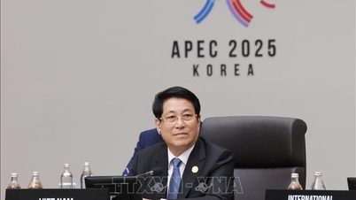 루옹 꾸옹 대통령은 APEC이 집중해야 할 세 가지 핵심 분야를 제안했습니다.