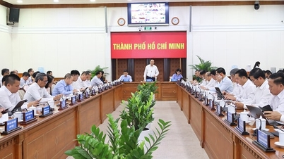Ho Chi Minh-staden: Budgetintäkterna på 10 månader nådde över 97 %