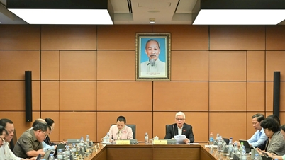 Säkerställa principen om centraliserad och enhetlig förvaltning av utrikesfrågor