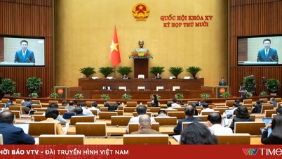 Het perfectioneren van de juridische corridor, het bevorderen van hightech-ontwikkeling