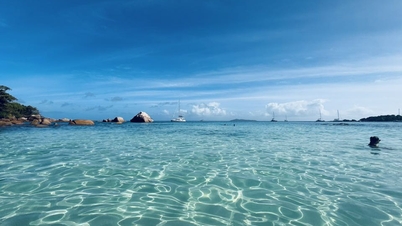 سفر یک رویاپرداز در سیشل