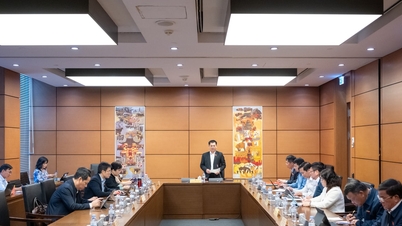 Stärka den nationella försvars- och säkerhetspotentialen och förbättra effektiviteten i tillämpningen av internationella fördrag