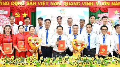Gần 6 tỷ đồng hỗ trợ vật tư nông nghiệp cho nông dân xã Bình Giang