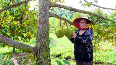Utveckla riktnummer för att öka värdet på jordbruksprodukter