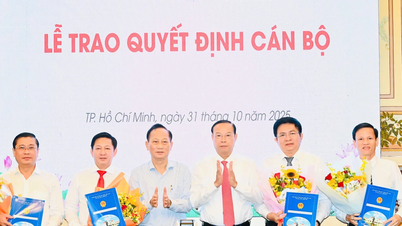 Pengerusi Jawatankuasa Rakyat Ho Chi Minh City menggerakkan dan melantik ramai pegawai