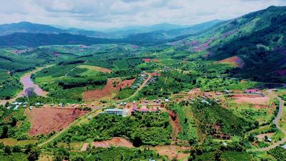 Дострокове завершення звіту з пропозицією об'єднання трьох національних цільових програм