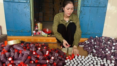 De familietraditie in leven houden: Van Quang-vissaus en de kans om rijk te worden voor vrouwen in Nghia Lam
