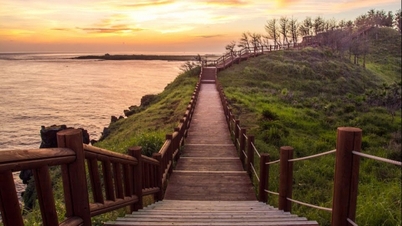 7 ervaringen die de moeite waard zijn om optimaal te genieten van de herfst op Jeju