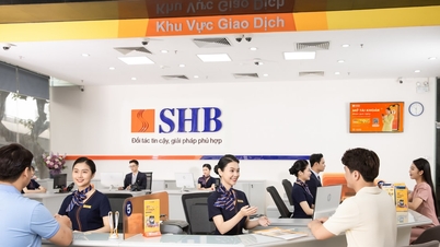 SHB نے سرمایہ کو 53,442 بلین VND تک بڑھانے کے منصوبے کا اعلان کیا۔