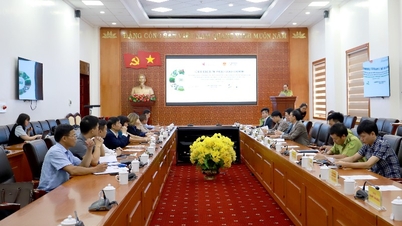 Lai Chau lanceert "C4G"-project