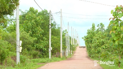 Meningkatkan kualiti perkhidmatan elektrik di kawasan sempadan