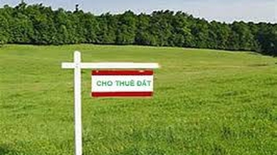 লং বিয়েন ওয়ার্ডে ০২টি জমির প্লটের স্বল্পমেয়াদী জমির ইজারা জনসমক্ষে নির্বাচন করুন