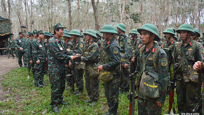 Η Μεραρχία 10 ολοκλήρωσε με επιτυχία την αποστολή άσκησης διοίκησης-φορέα 1 πλευράς, 2 επιπέδων στο πεδίο.