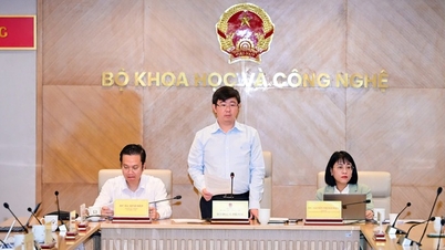 استخدام مستقل و مذاکره در مورد حقوق و دستمزد - سیاستهای جدید برای جذب استعدادهای علمی