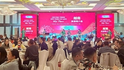 Promovendo o turismo vietnamita em Chengdu (China)