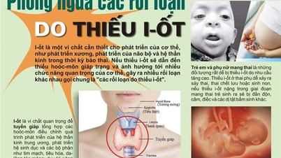 Reakce na Národní den nákupu a používání jodizované soli (2. listopadu 2025)