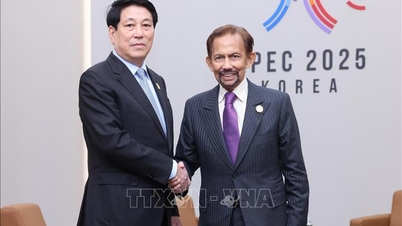 Dezvoltarea în continuare a relației substanțiale dintre Vietnam și Brunei