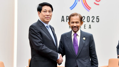 President Luong Cuong møter sultanen fra Brunei Darussalam Haji Hassanal Bolkiah