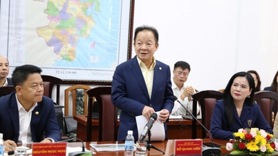 Ο Όμιλος T&T προτίθεται να επενδύσει σε πολλά στρατηγικά έργα στην επαρχία Khanh Hoa