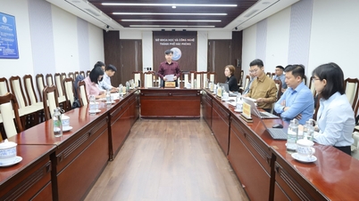 Şehir düzeyinde bilim ve teknoloji görevlerini yerine getirmek üzere seçim danışmanlığı: Krizantem çayı