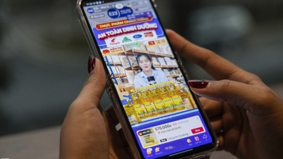 Lebih daripada 70 juta orang Vietnam menggunakan TikTok setiap bulan
