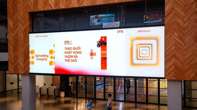 VNG, 3분기 실적 호조세