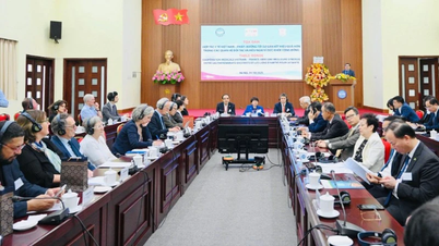 Προώθηση της ιατρικής συνεργασίας Βιετνάμ-Γαλλίας στη νέα περίοδο