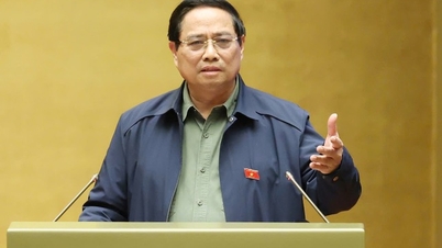 برای افزایش زودتر حقوق، موارد را بررسی، متعادل و با مقامات ذیصلاح مشورت خواهد کرد.