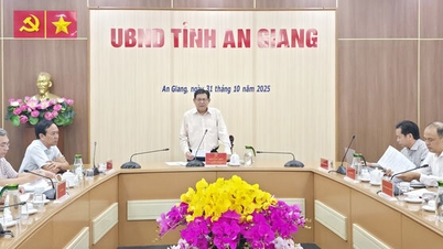 Pilnie ustalić zadania i ogólne planowanie dla obszarów miejskich i wiejskich w prowincji An Giang.