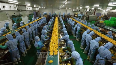 Vietnam'ın konumunu yükseltmek için yeni bir ivme