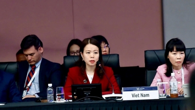 AMM 36: Vietnam, APEC'in inovasyonu ve paylaşılan refahı teşvik etmek için odaklanması gereken birkaç önemli yönelim öneriyor