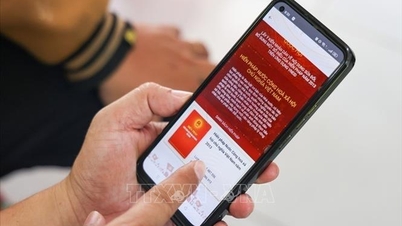 Zbývající zásady, které nabývají účinnosti v listopadu 2025