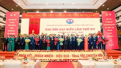 Μεγάλη Απόφαση – Ισχυρή Δράση: Το Βιετνάμ Δημιουργεί Νέα Ανθεκτικότητα