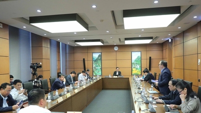 Tydelig ansvar for den som direkte forvalter IP