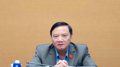 Az Orosz Föderáció Tanácsának Vietnami Nemzetgyűlésével együttműködő csoporttal tartandó online találkozó előkészületeinek áttekintése