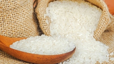 Rice import and export situation in the first 9 months of 2025 in Singapore