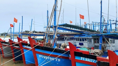 Dak Lak: Begäran om att försegla 100 % av fiskefartyg som inte är kvalificerade att gå till sjöss för att undvika IUU-överträdelser