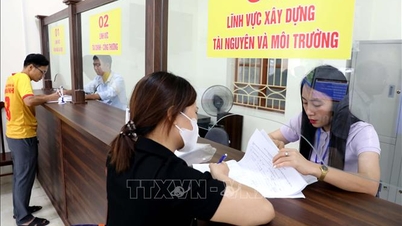 Συμπέρασμα αριθ. 202-KL/TW σχετικά με τη λειτουργία του πολιτικού συστήματος και του μηχανισμού τοπικής αυτοδιοίκησης δύο επιπέδων