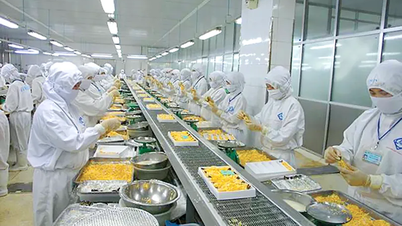 Sperând la un final fericit pentru sezonul dificil de creveți