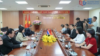 Делегация Федерации журналистов Таиланда посетила и работала в газете, радио и телевидении Куангнинь