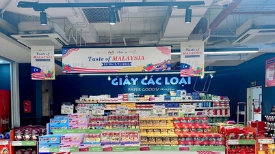 Primul Festival Alimentar Malaezian a avut loc la supermarketul FujiMart