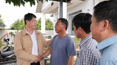 Vicepreședintele Comitetului Popular al Provinciei Lam Dong, Nguyen Hong Hai, a inspectat progresul curățeniei șantierelor pentru proiectele de autostrăzi expres Tan Phu - Bao Loc și Bao Loc - Lien Khuong.