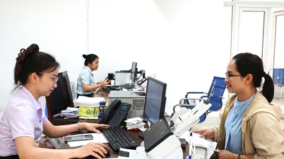 다크락: 사업자등록 분야 행정절차 단축