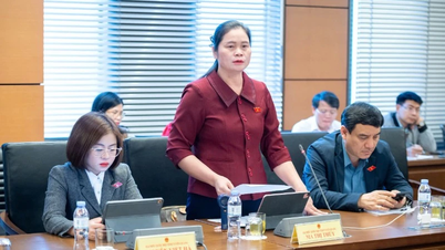 הצעה להרחבת קבוצות פגיעות המוגנות במרחב הקיברנטי