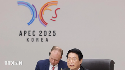 Prezident Luong Cuong se setkal s vedoucími představiteli několika členů APEC