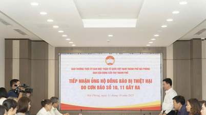 Die Unternehmen von Hai Phong schließen sich zusammen, um die Flutopfer zu unterstützen.