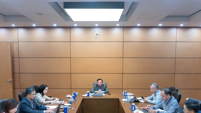 Evaluatie van de voorbereidingen voor de online bijeenkomst tussen de Vietnam-Rusland Vriendschapsparlementariërsgroep