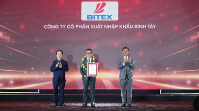 BITEX continúa reafirmando su posición en el ranking PROFIT500 de Vietnam Report.